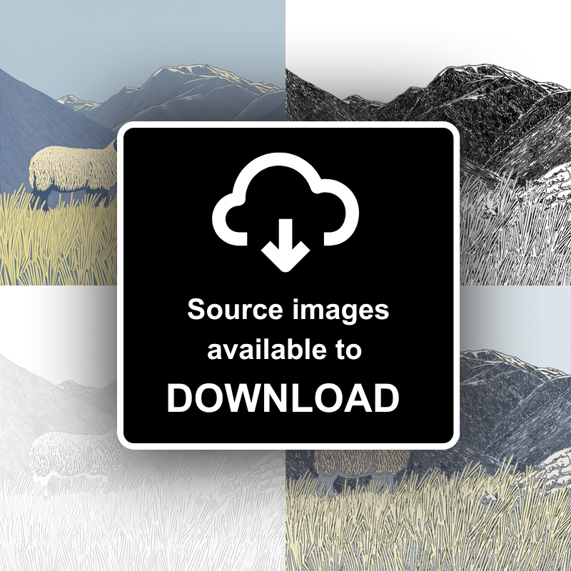 Herdwick sheep on a fellside Linoprint-Style Art (2448-2)