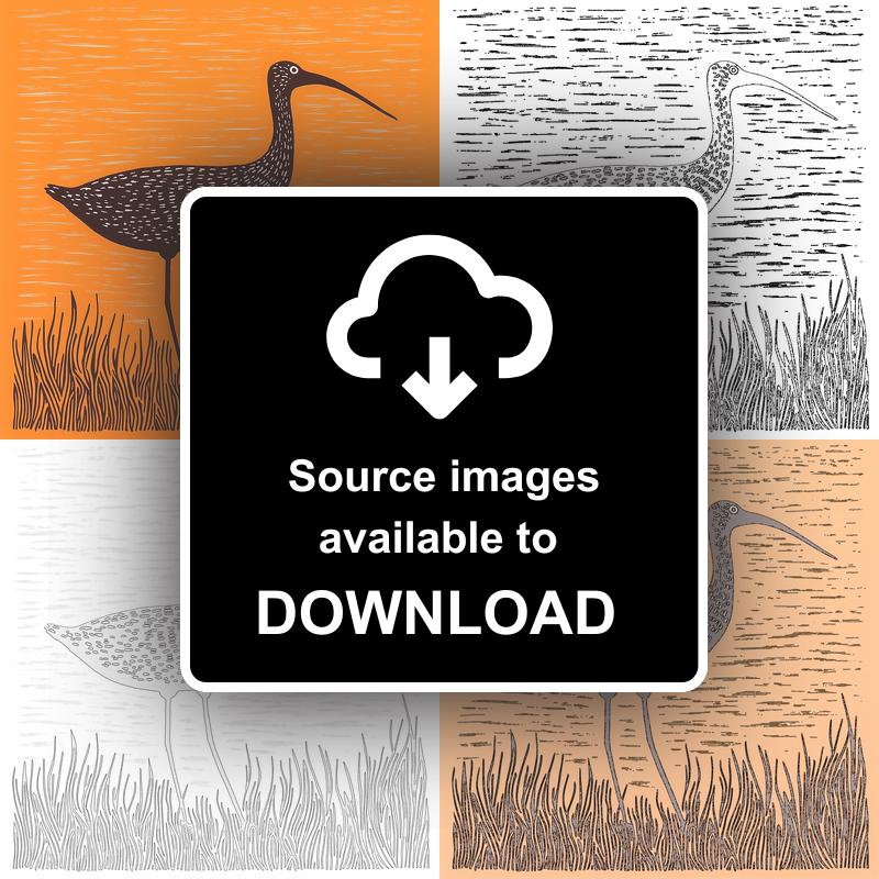 Curlew calling in the shallows Linoprint-Style Art (2078-1)