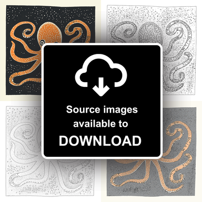 Octopus with swirling tentacles Linoprint-Style Art (520-1)