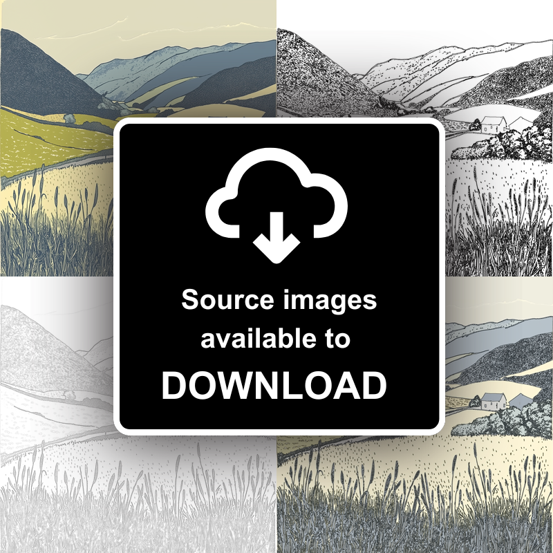 Borrowdale valley farms Linoprint-Style Art (2373-2)